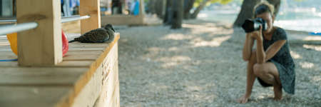 Wide view image of a young woman taking a picture of calm dove sleeping on wooden porch in a summer beach resort.の写真素材