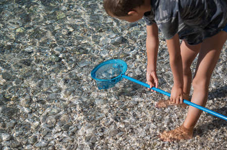 Boy standing ankle high in beautiful clear sea water catching a sea urchin with a net.の写真素材