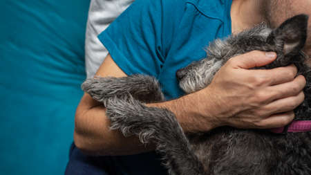 Closeup view of mixed breed black and grey pet dog cuddling with her owner.の写真素材