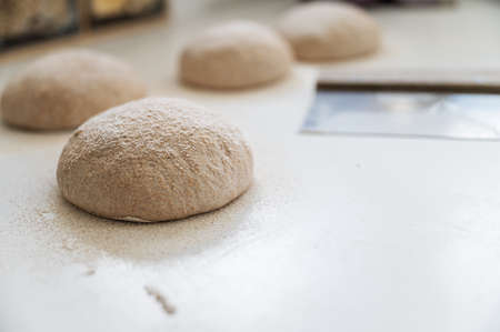 Fresh sourdough dough for bread buns resting and rising on kitchen counter, duster with flour.の写真素材