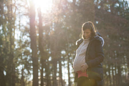 Young pregnant woman standing in autumn forest with sun rays coming through the trees, touching her big belly lovingly.の写真素材