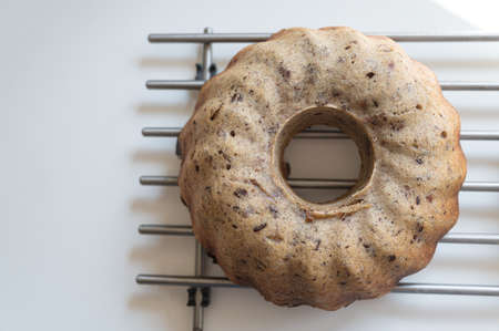 Top view of delicious home made vegan banana bread cooling off on a rake.