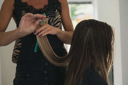 Hairdresser cutting a womans long wet hair in a salon.の写真素材