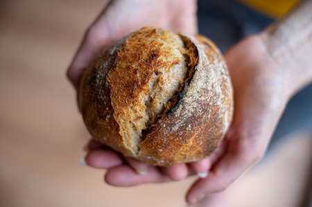 Closeup view of female hands holding delicious golden bread bun.の写真素材