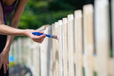 Woman painting a new wooden fence in backyard with transparent protective varnish.の写真素材