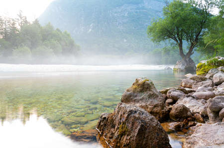 Beautiful soca river with mist above it and strong tree growing out of a rock on the shore.の写真素材
