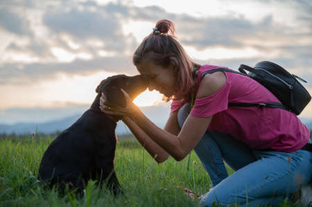 Young labrador puppy kissing her female owner as she kneels down to her in a beautiful green meadow with the setting sun shining in between them.の写真素材