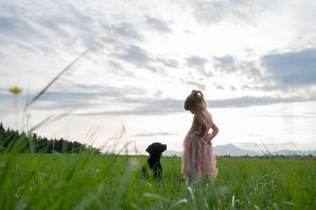 Toddler girl standing in beautful green summer meadow with her cute labrador puppy looking at her with trust.の写真素材
