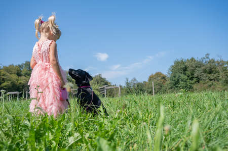 Toddler girl in pretty pink dress standing in green meadow with her cute black labrador puppy looking at her attentively.の写真素材