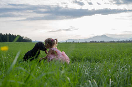 Beautiful friendship between a dog and a girl sitting in  beautiful green meadow in the early...