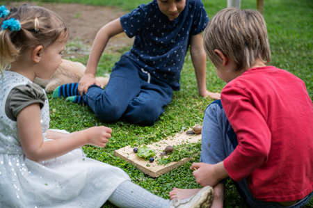 Three children, siblings, sitting on a green grass observing and exploring two snails crawling on wooden desk.の写真素材