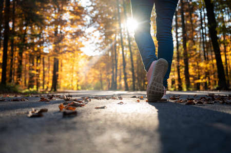 Low angle view of a womans step as she walks on a road lined with beautiful colorful autumn trees with sunlight coming through the leaves.