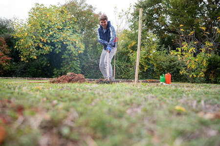 Male gardener using rakes to finish up planting young new olive tree outside in backyard.の写真素材