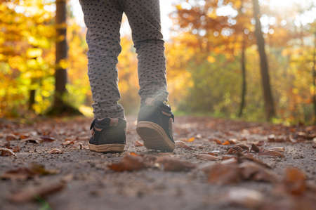 Low angle view of a toddler child legs walking on an autumn  forest trail with sunflare coming through the leaves.の写真素材