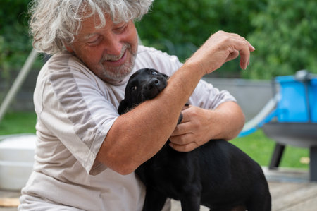 Senior man playing with a cute black labrador retriever puppy outside.の写真素材