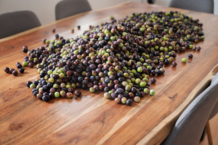 Pile of freshly picked ripe green and black olives placed on a wooden table.の写真素材