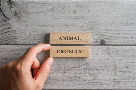 Male hand stacking two wooden pegs with an Animal cruelty sign on them over white wooden background.の写真素材