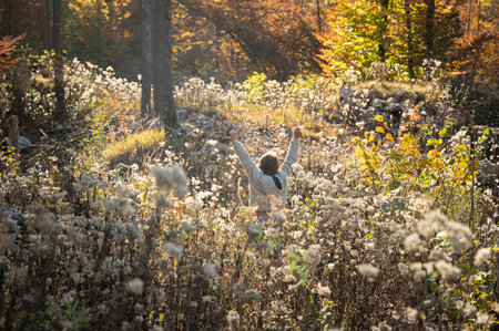 Child standing with his arms raised high in the middle of a magical autumn forest full of fluffy flowers lit by the sun.の写真素材
