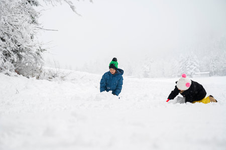 Toddler boy and girl, brother and sister, in winter suits playing outside in beautiful nature abundantly covered in snow.の写真素材