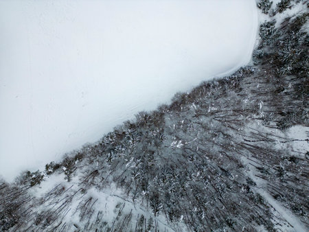 Top view with a drone of a beautiful snowy winter nature. A border between forest and snow covered meadow.の写真素材