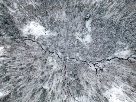 Top view with a drone of a snow covered winter forest.の写真素材