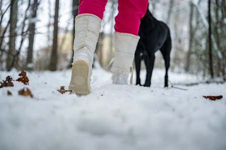 Low angle view of a sole of female snow boots walking in snow covered winter forest. Black dog alongside the legs.の写真素材