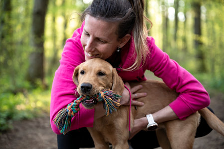 Young female dog owner in pink sweater cuddling with her purebred playful  labrador retriever puppy in green spring forest.の写真素材