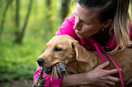 Young female owner cuddling and kissing her adorable golden labrador retriever puppy with a tug toy in her mouth. Outside with blurred green nature in background.の写真素材