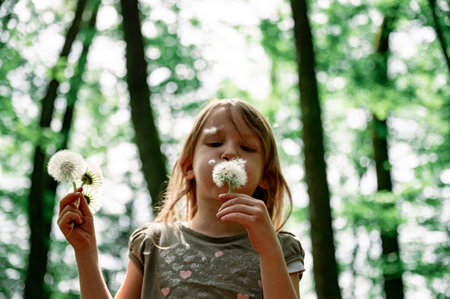 Toddler girl blowing gentle dandelion bulb standing in green summer forest.の写真素材