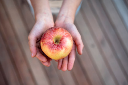 Overhead view of two hands of a child delicately hold a ripe, golden-red apple, emphasizing its natural beauty and freshness. The soft focus on the background directs attention to the fruit, representing a moment of simplicity and nourishment. This serene image evokes themes of health, nature, and appreciation for life's small, wholesome offerings.の写真素材