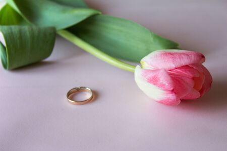 Engagement ring with pink  tulip on the pink backgroundの写真素材