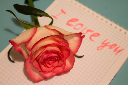 Beautiful rose flower with declaration of love in notebookの写真素材