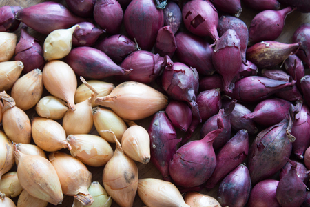Yellow and purple onions for sowing.  Onions background.の写真素材