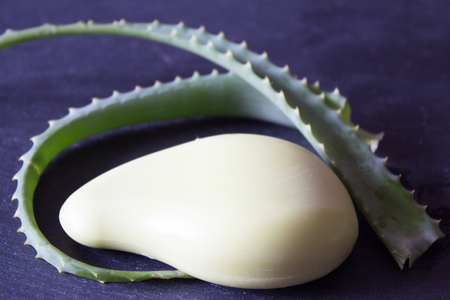 Leaves of aloe vera, soap with aloe. Stone background.の写真素材