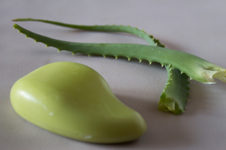 Leaves of aloe vera, soap with aloe. Neutral background.の写真素材