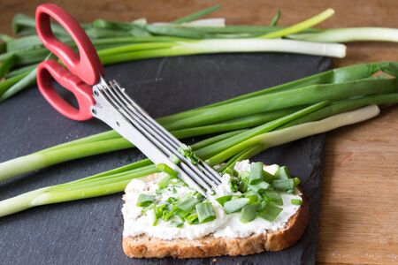 Special herb scissors with multiple blades. Green onions cut into special scissors. Stone backgroundの写真素材