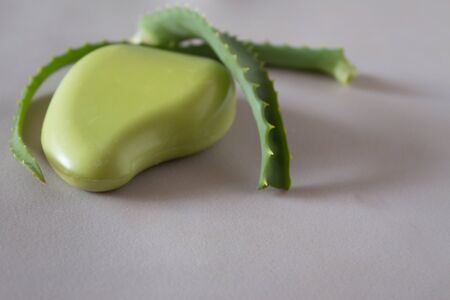 Leaves of aloe vera, soap with aloe. Neutral background.の写真素材