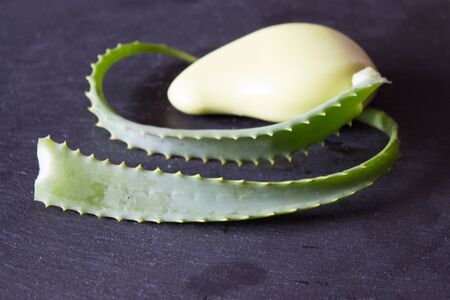 Leaves of aloe vera, soap with aloe. Stone background.の写真素材
