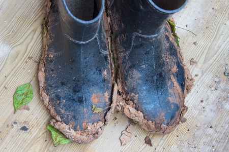 Dirty rubber boots after work in the garden in rainy weather. Top View.の写真素材