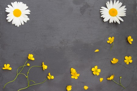 Yellow buttercups and white chamomiles on stone background. Floral frame. Top view.の写真素材