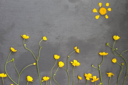 Yellow buttercups and white chamomiles on stone background. Floral frame. Top view.の写真素材