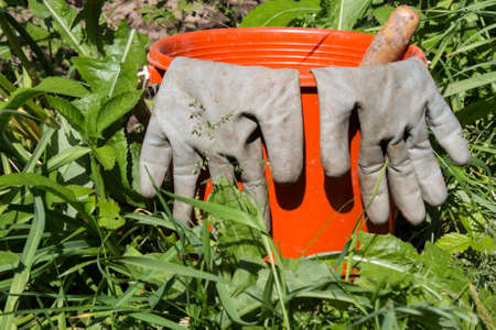 Dirty gardening gloves on a plastic red bucket with garden tools on the backdrop of the garden.の写真素材