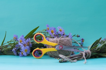 Composition with a bouquet of flowers of violet asters and scissors on a neutral green background.の写真素材