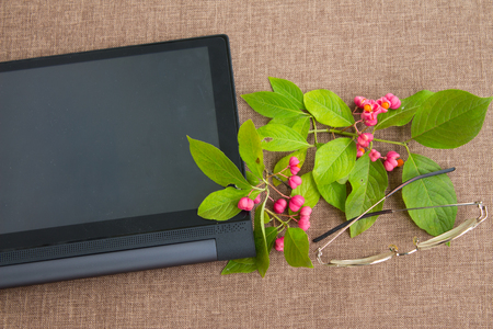 flowering branch on the desktop with  tablet computer and glassesの写真素材