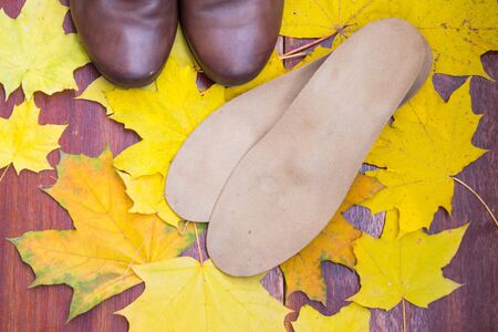 Brown shoes with orthopedic insoles. Background of yellow and orange maple leaves. Top view.の写真素材