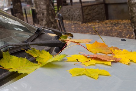 Autumn in the city. Yellow, green, red fallen leaves lie on the hood of the car.の写真素材