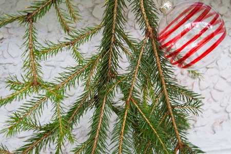 Christmas and New Year decoration with fir branches and ball with red stripes. White background.の写真素材