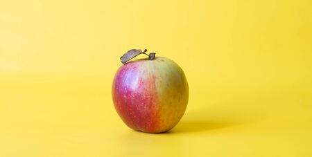 Fresh red yellow apple fruct isolated on yellow background.の写真素材