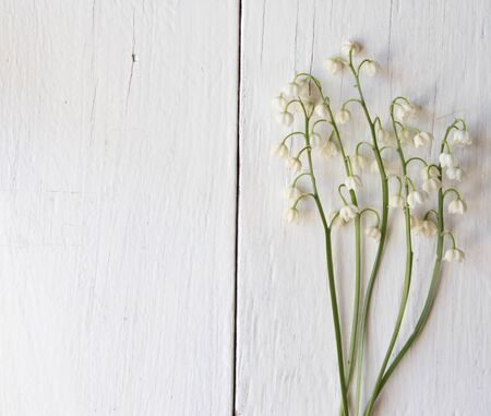 Lily of the valley isolated on white painted wooden board. Top view.の写真素材