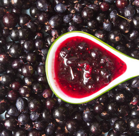 Black currant jam on a spoon above fresh black currant berriesの写真素材